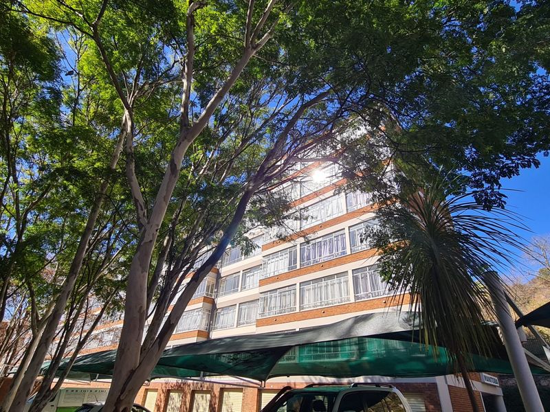 Exterior view of a multi-story commercial brick building featuring mature trees and a shaded parking area in the foreground.