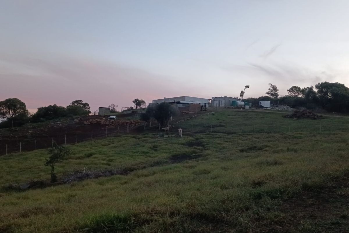 A wide-angle view of the farm property showing the main structures situated on a hill overlooking the surrounding pasture land.