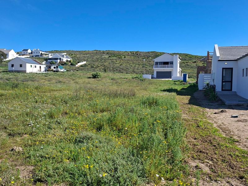 A view of a vacant residential plot with natural vegetation, adjacent to existing modern homes and paved driveway access.