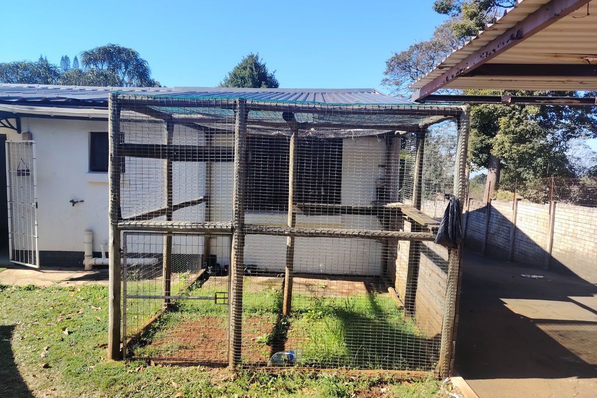 Rear exterior area featuring a large wire mesh enclosure with a timber frame and corrugated metal roof, situated adjacent to the main building structure.