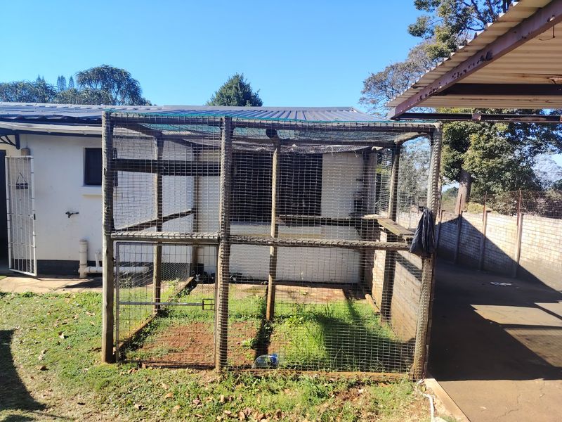 Rear exterior area featuring a large wire mesh enclosure with a timber frame and corrugated metal roof, situated adjacent to the main building structure.