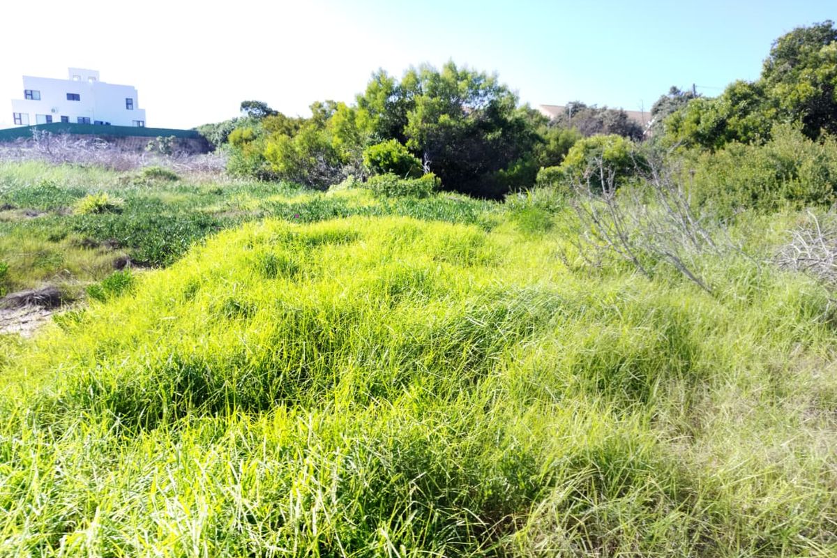 A view of a vacant residential plot featuring natural vegetation and indigenous grass, suitable for future development.