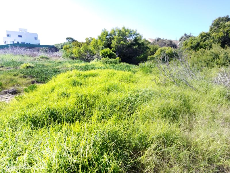 A view of a vacant residential plot featuring natural vegetation and indigenous grass, suitable for future development.