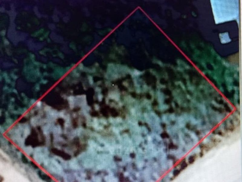 An aerial view of a vacant residential plot with property boundaries highlighted in red.