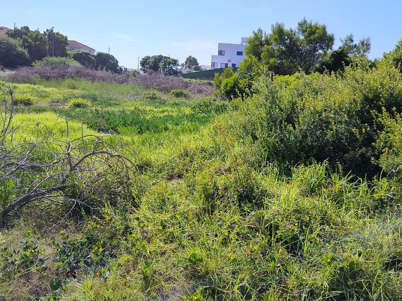A view of a vacant residential plot featuring natural vegetation and surrounding neighborhood development.