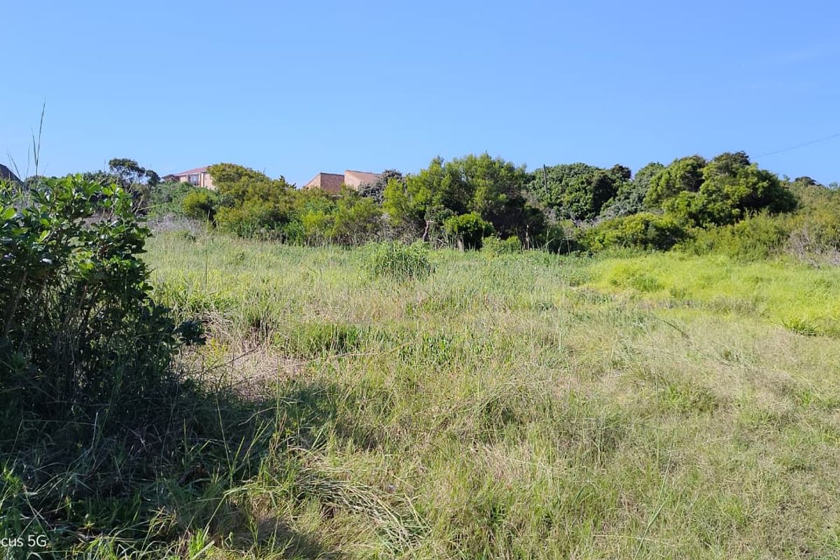 A view of a vacant residential plot featuring natural vegetation and grass, suitable for future development.