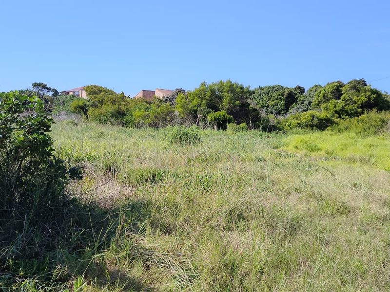 A view of a vacant residential plot featuring natural vegetation and grass, suitable for future development.