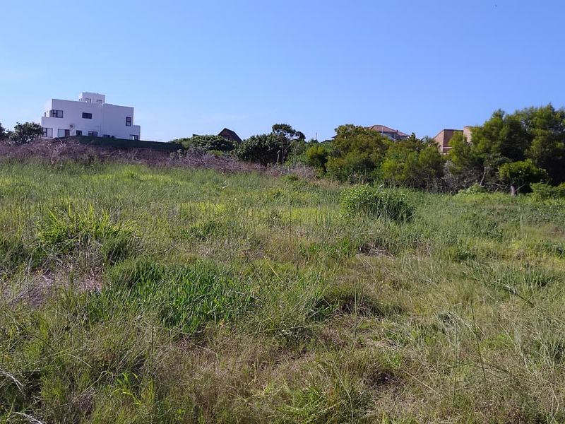 A view of an undeveloped residential plot featuring natural vegetation and surrounding neighborhood homes in the distance.