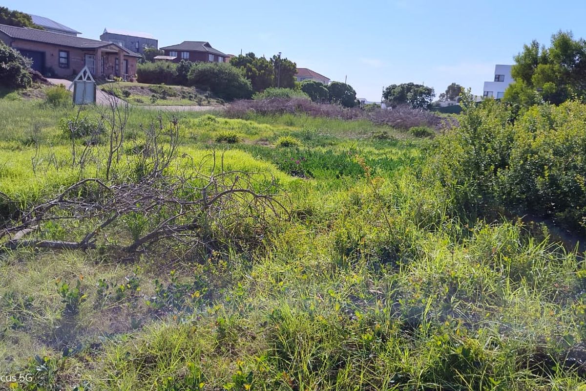 A view of an undeveloped residential plot featuring natural vegetation and surrounding neighborhood homes.