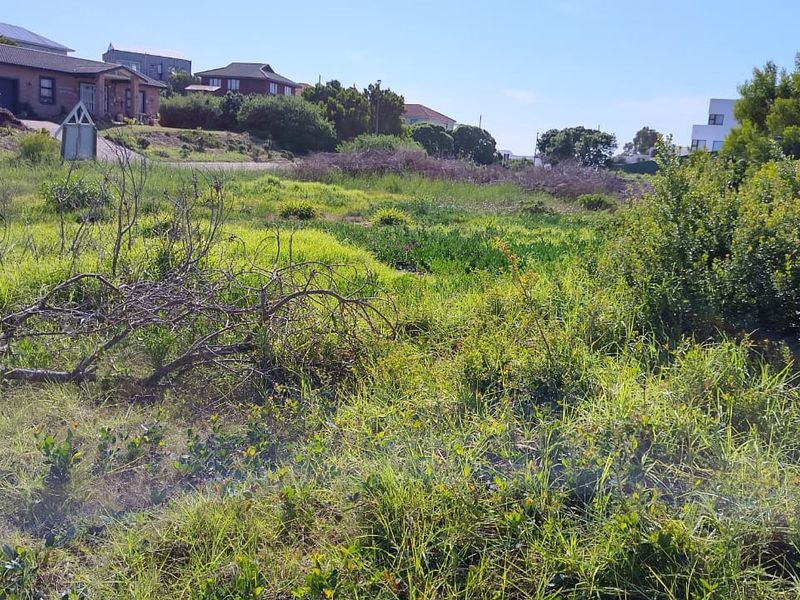 A view of an undeveloped residential plot featuring natural vegetation and surrounding neighborhood homes.
