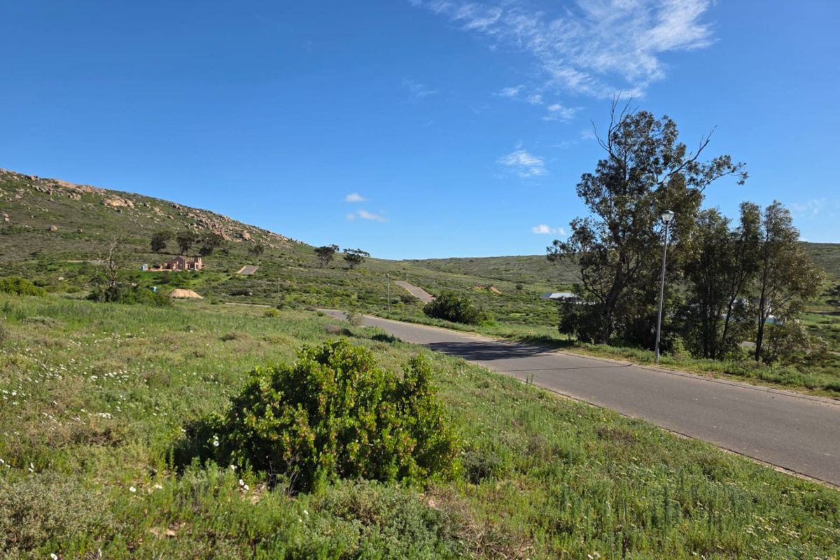 A view of a paved residential street winding through a natural, undeveloped landscape with native vegetation and rolling hills.