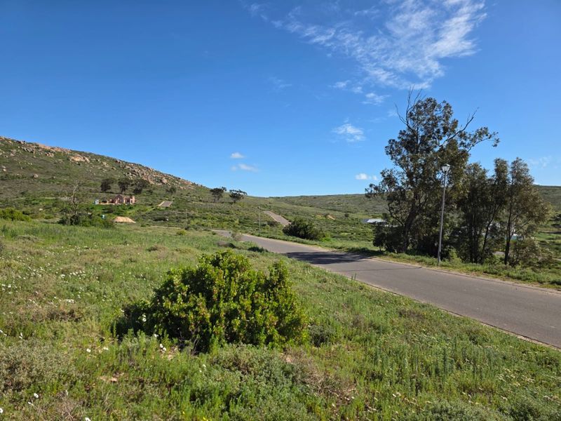 A view of a paved residential street winding through a natural, undeveloped landscape with native vegetation and rolling hills.