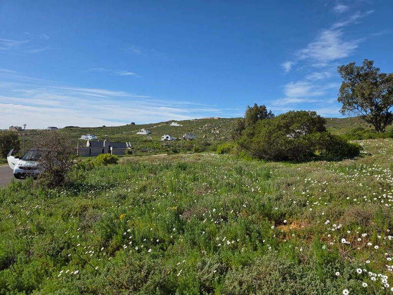 A view of a vacant residential plot featuring natural vegetation and a gentle slope, situated in a quiet neighborhood setting.