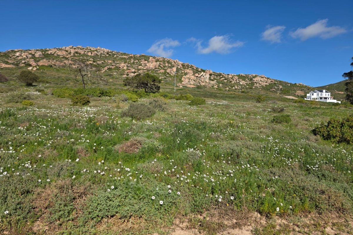 A scenic view of a natural, undeveloped hillside landscape featuring rocky terrain and native vegetation under a clear blue sky.