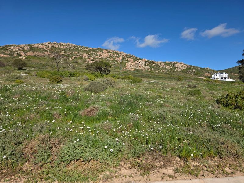 A scenic view of a natural, undeveloped hillside landscape featuring rocky terrain and native vegetation under a clear blue sky.