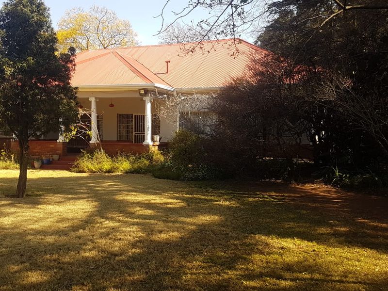 A view of the rear elevation of the house featuring a covered patio, brick pillars, and a corrugated metal roof set within a garden.