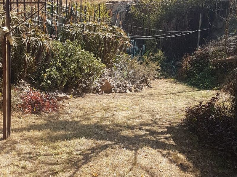 A large, overgrown garden area featuring a dry lawn, established trees, and perimeter metal fencing against a natural rock backdrop.