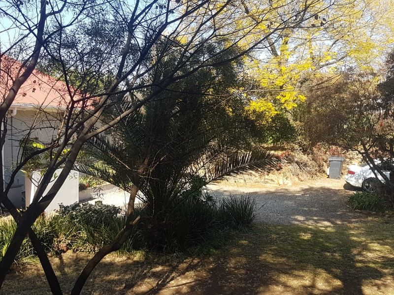 A view of the rear exterior area featuring a gravel driveway, established trees, and a portion of the house with a metal roof.