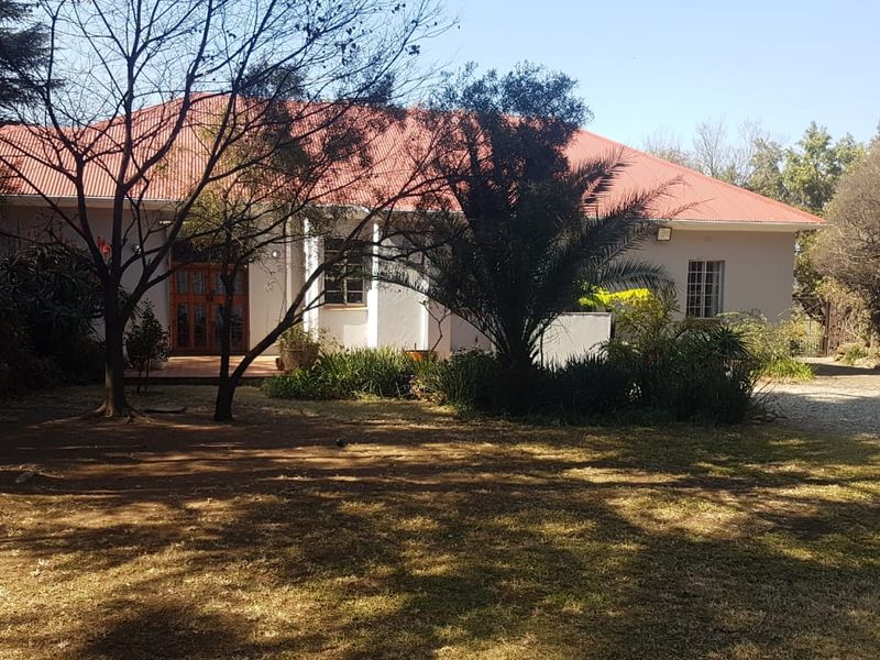 Front view of a single-story residential house featuring a red corrugated metal roof, timber entrance door, and established garden surroundings.