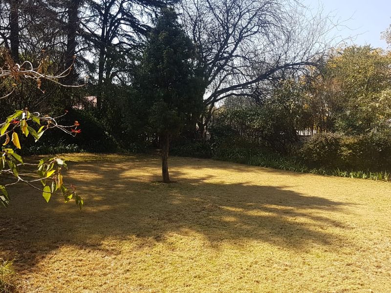 A spacious, established garden area featuring a large lawn and mature trees, providing a private and tranquil outdoor setting.