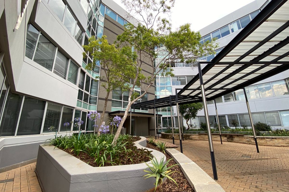 A modern commercial courtyard featuring paved walkways, covered steel pergolas, and landscaped raised planter beds set against a multi-story glass and steel facade.