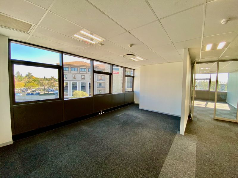 A bright, vacant commercial office space featuring large windows, carpeted flooring, and a suspended ceiling with integrated lighting.