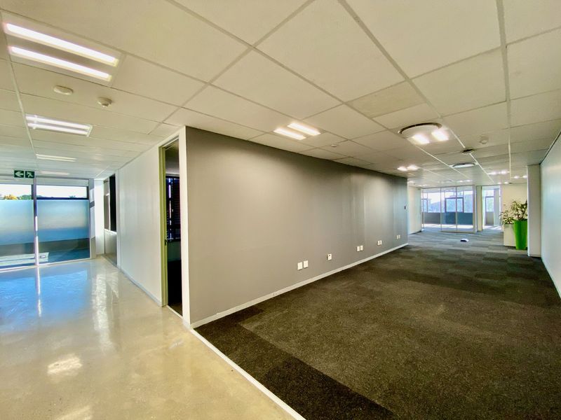 Spacious open-plan commercial office area featuring a mix of carpet and polished concrete flooring, suspended ceilings, and modern glass partitioning.