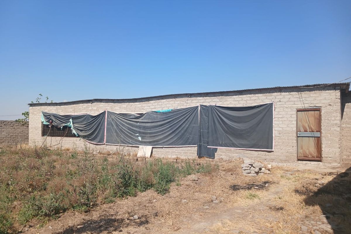 Rear view of a farm building featuring cinder block construction, a corrugated metal roof, and a timber entrance door.