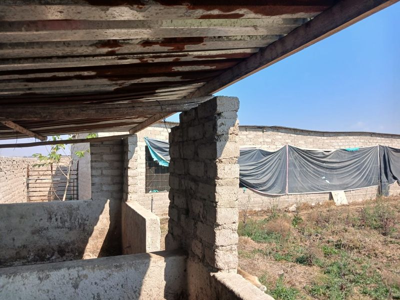 Outdoor utility structure featuring concrete block partitions and a corrugated metal roof showing signs of significant weathering and corrosion.