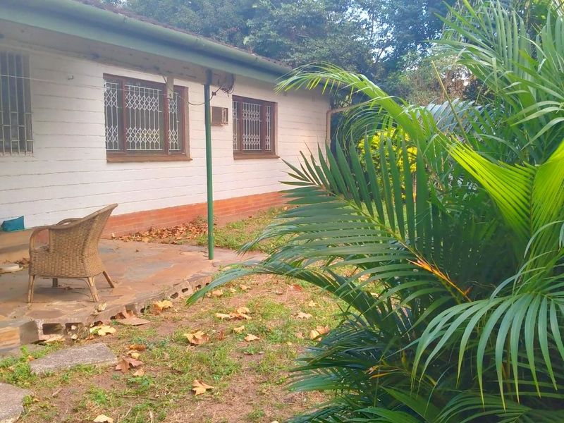 Rear view of the property featuring a paved patio area, security bars on windows, and a garden space requiring maintenance.