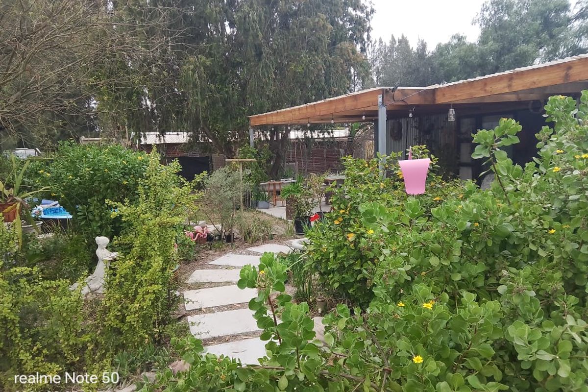 A rear garden area featuring a timber pergola structure and a paved pathway winding through established greenery.