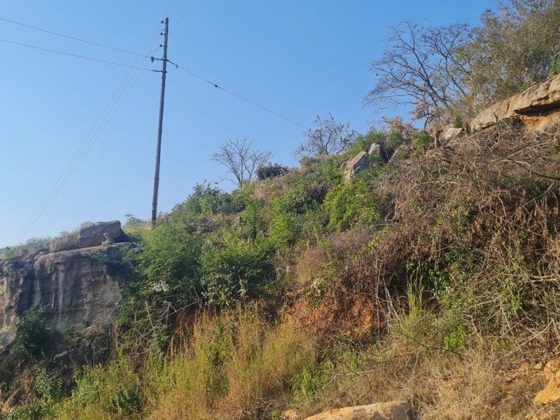 A natural landscape view featuring rocky terrain and vegetation with an overhead utility pole.