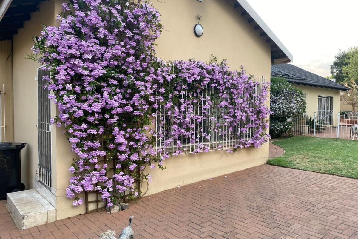 Spacious Family Home with Granny Flat – Perfect for Comfortable Living! - Photo 2