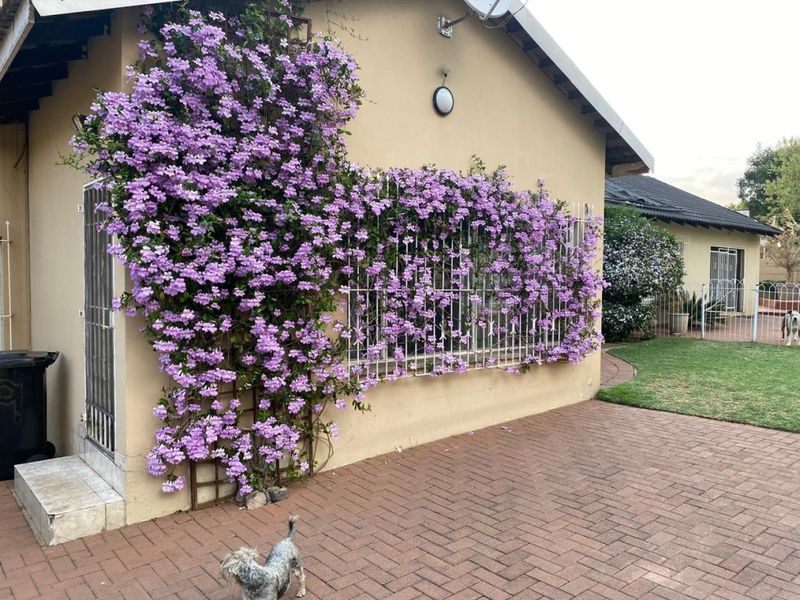 Spacious Family Home with Granny Flat – Perfect for Comfortable Living! - Photo 2