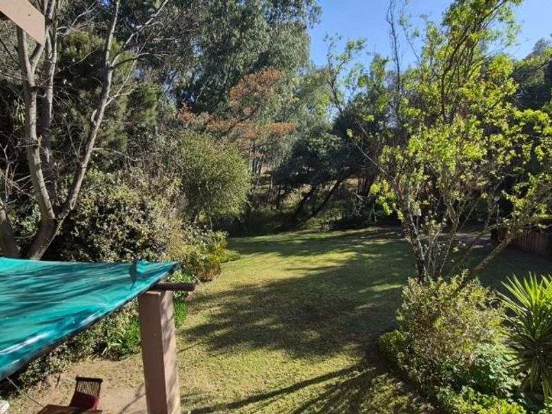 A view of the rear garden featuring a covered patio area and established trees, providing a private outdoor space.