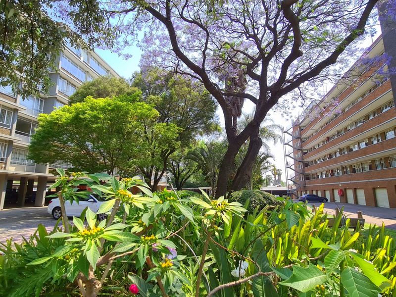 3 Full Title Neighbouring buildings sold together with 142 apartments R10 640 000.00 annual gross income! - Photo 7