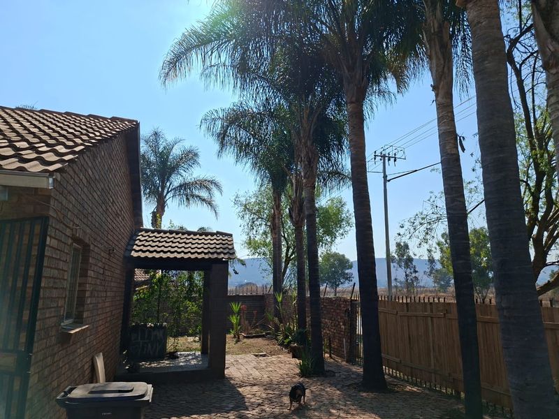 A rear exterior view of the property featuring a brick facade, a covered patio area, and a paved courtyard surrounded by mature palm trees.
