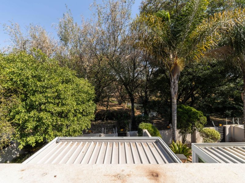 An elevated view overlooking a lush, tree-filled garden area with a corrugated metal roof visible in the foreground.