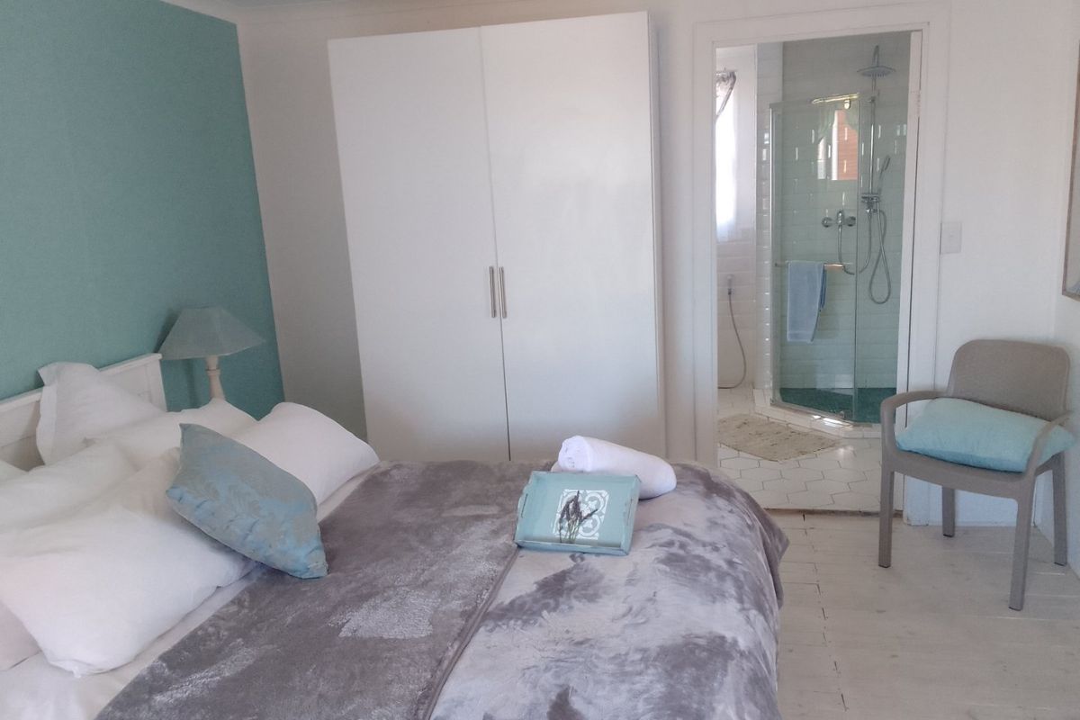 A bedroom featuring a built-in wardrobe and an adjoining en-suite bathroom with a glass-enclosed shower.