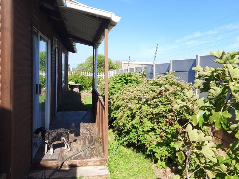 A covered timber deck area adjacent to the house, featuring sliding door access and overlooking a garden with established shrubs and boundary fencing.