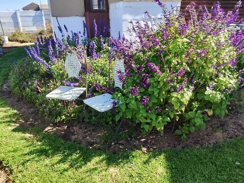 A well-maintained garden area featuring a lush lawn and vibrant purple flowering shrubs adjacent to the exterior wall of the property.