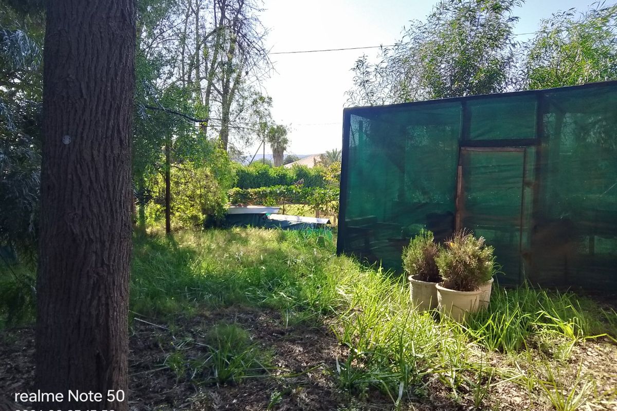 A view of a residential garden area featuring mature trees and a temporary shade cloth structure.