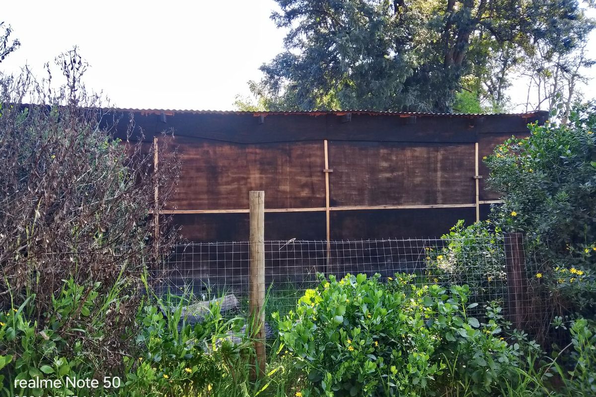 A view of a rear boundary featuring a wire mesh fence, timber post, and a simple timber-clad structure with a corrugated metal roof.