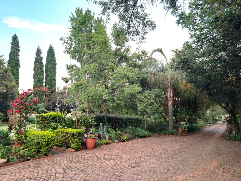 Spacious Country Living with Income Potential - Photo 2