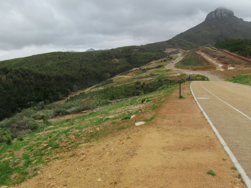 A view of a paved road winding through a natural landscape with mountain views in the background.