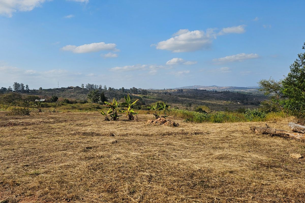 3.2 ha' Vacant Land on a Tar Road - Photo 2