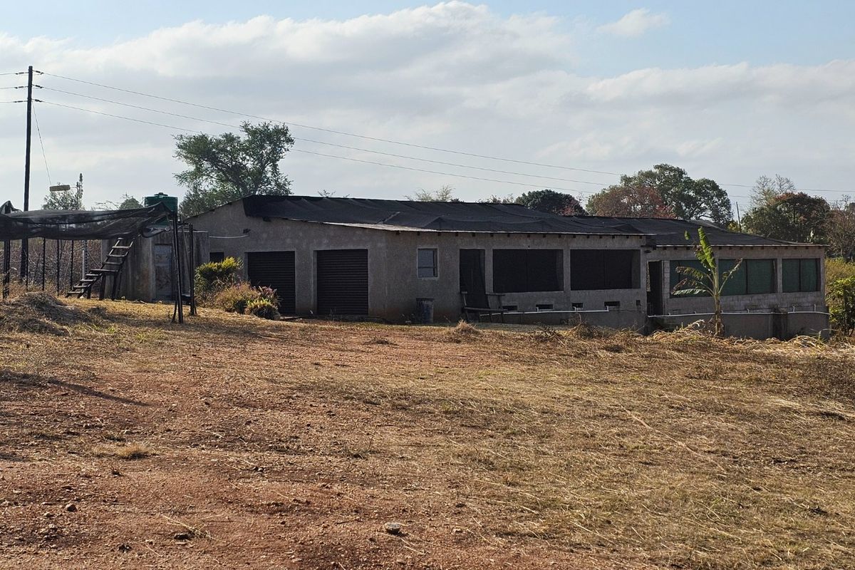 3.2 ha' Vacant Land on a Tar Road - Photo 3