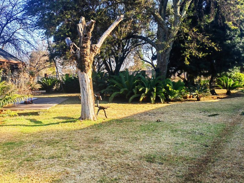 A spacious garden area featuring mature trees, established cycads, and a wooden deck section, offering a natural outdoor setting.