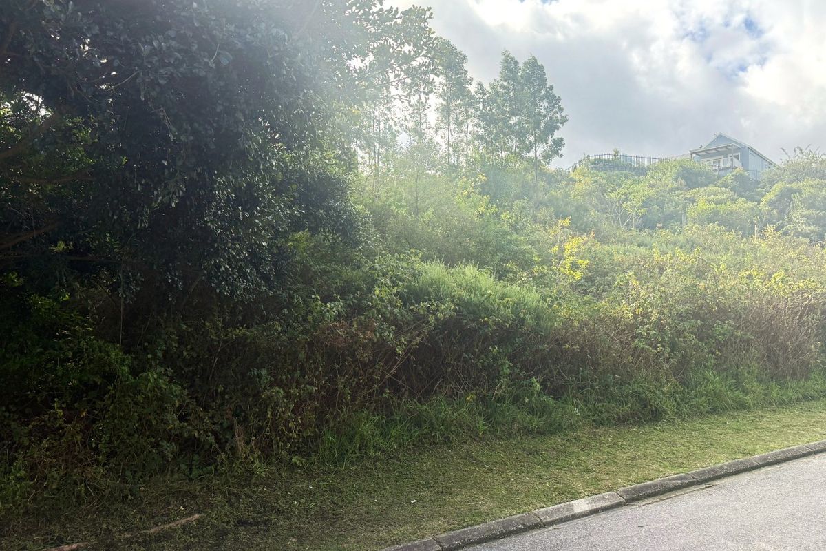 A view of a vacant residential plot featuring dense natural vegetation and a paved road frontage.