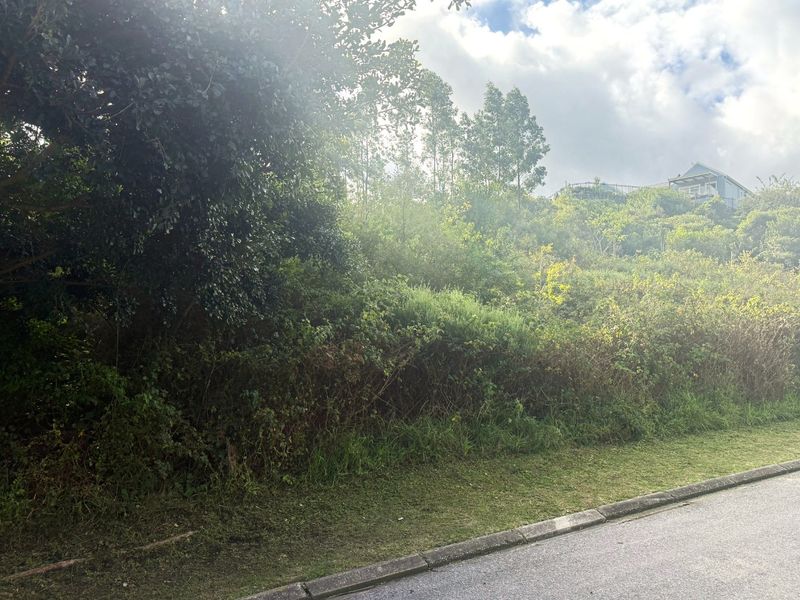 A view of a vacant residential plot featuring dense natural vegetation and a paved road frontage.